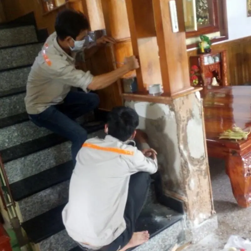 dịch vụ diệt mối tận gốc