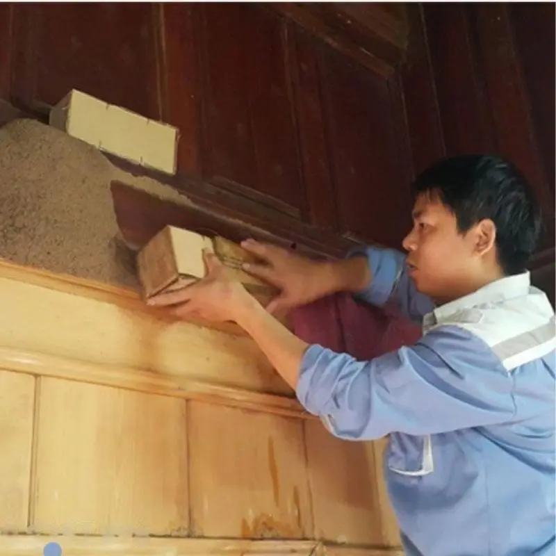 dịch vụ diệt mối tại nhà