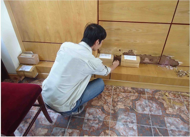thợ diệt mối uy tín giá rẻ TPHCM