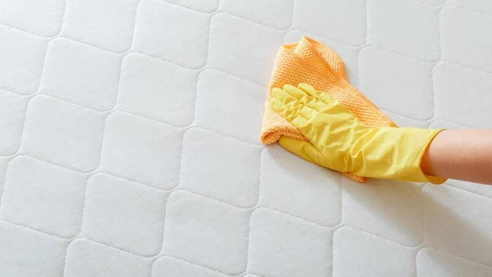 Dịch vụ vệ sinh giặt nệm cao su
