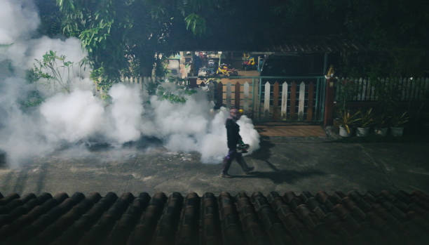 dịch vụ xịt muỗi tại nhà