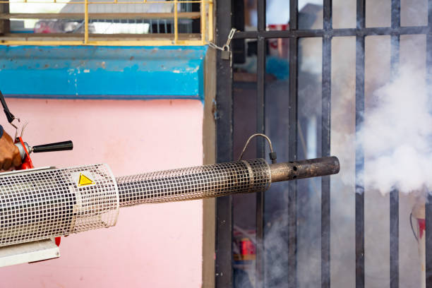 xịt muỗi tại nhà TPHCM