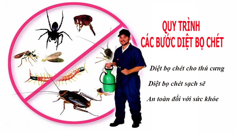 Dịch vụ diệt bọ chét uy tín tại TPHCM