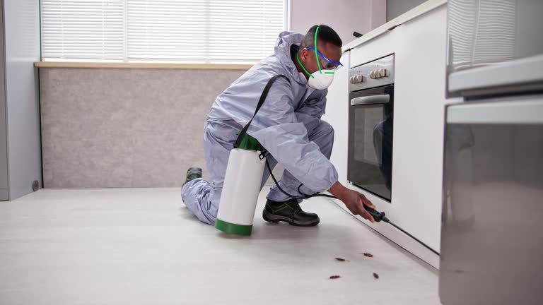 diệt gián đức tận gốc